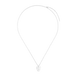 Plectrum
